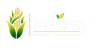 Maizey logo - Quality Maize, Power of Nature